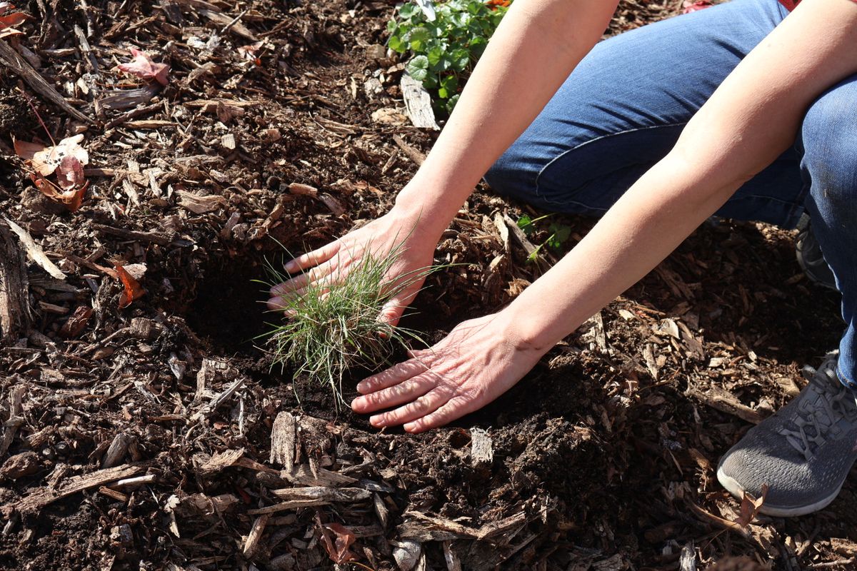Getting those hands dirty!