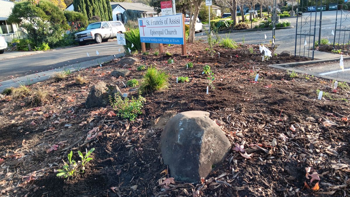 Plants in the ground in front of the sign