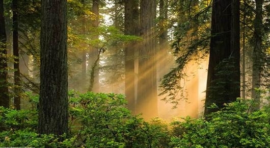 St Joseph Catholic Church, Crescent City, CA Crescent