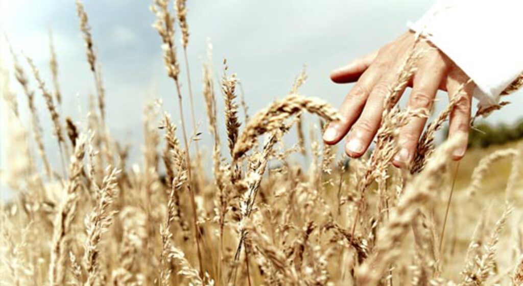 Second Baptist Church