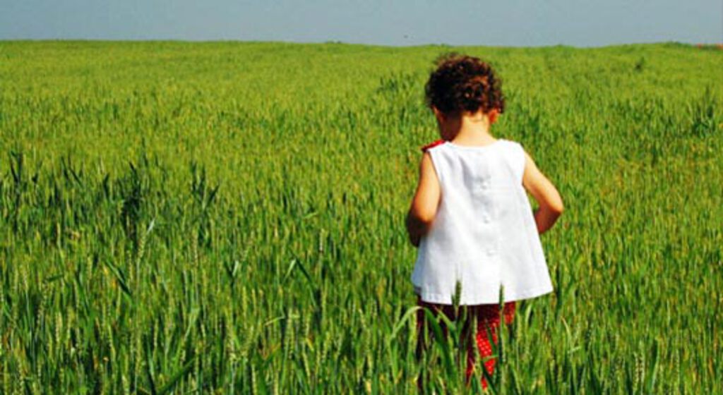 Placid Lakes Baptist Church Lake Placid Florida