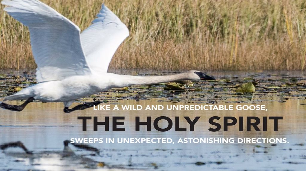 Pearblossom Community United Methodist Church Pearblossom California