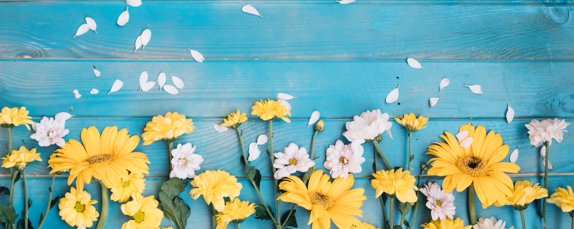 Community Baptist Church