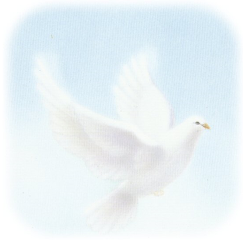 Bittner Funeral Chapel Obituaries