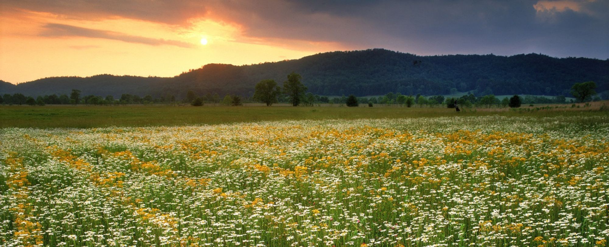 Stock Creek Baptist Church Knoxville Tennessee