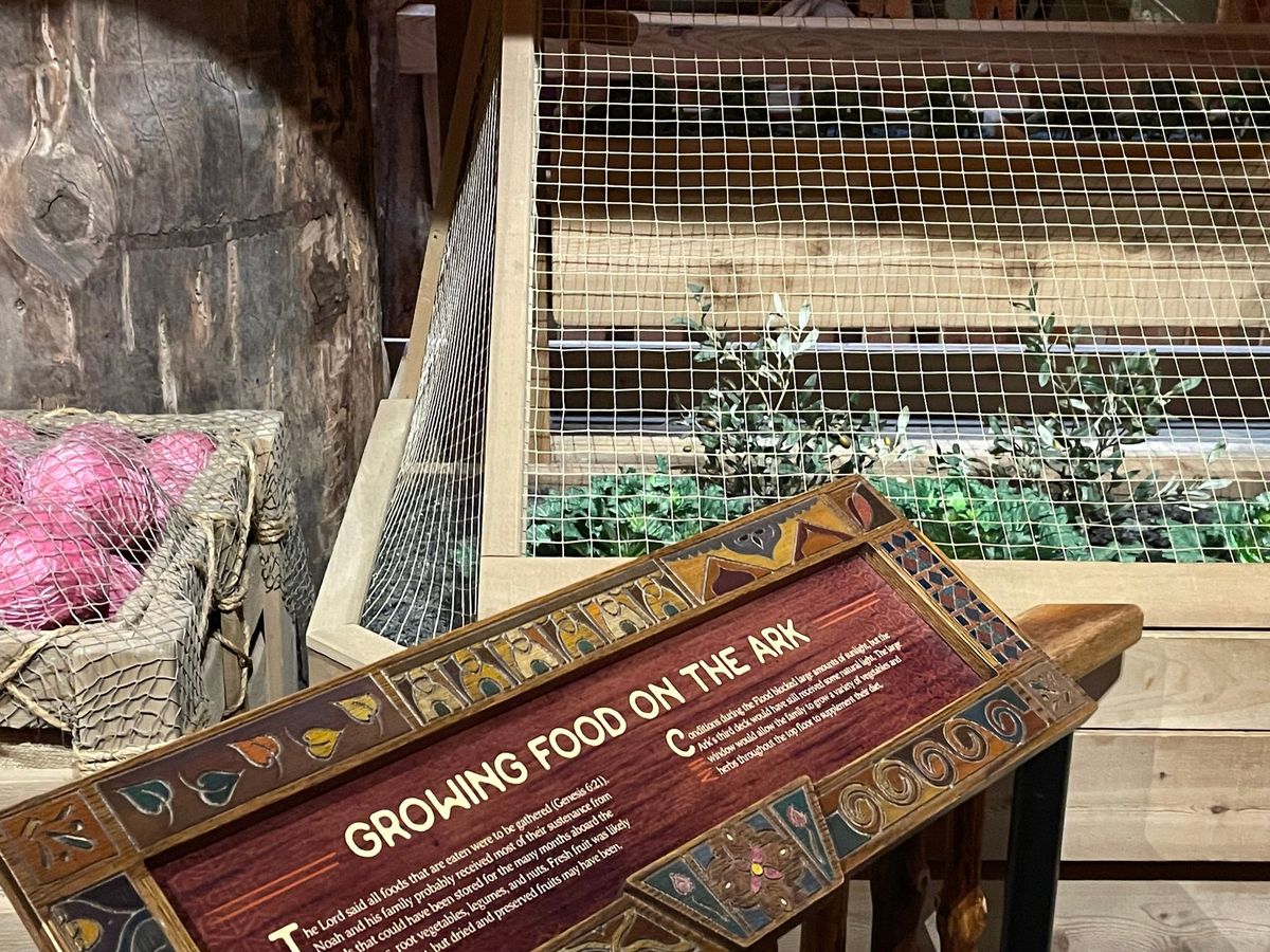 Growing food on the Ark (3rd floor)