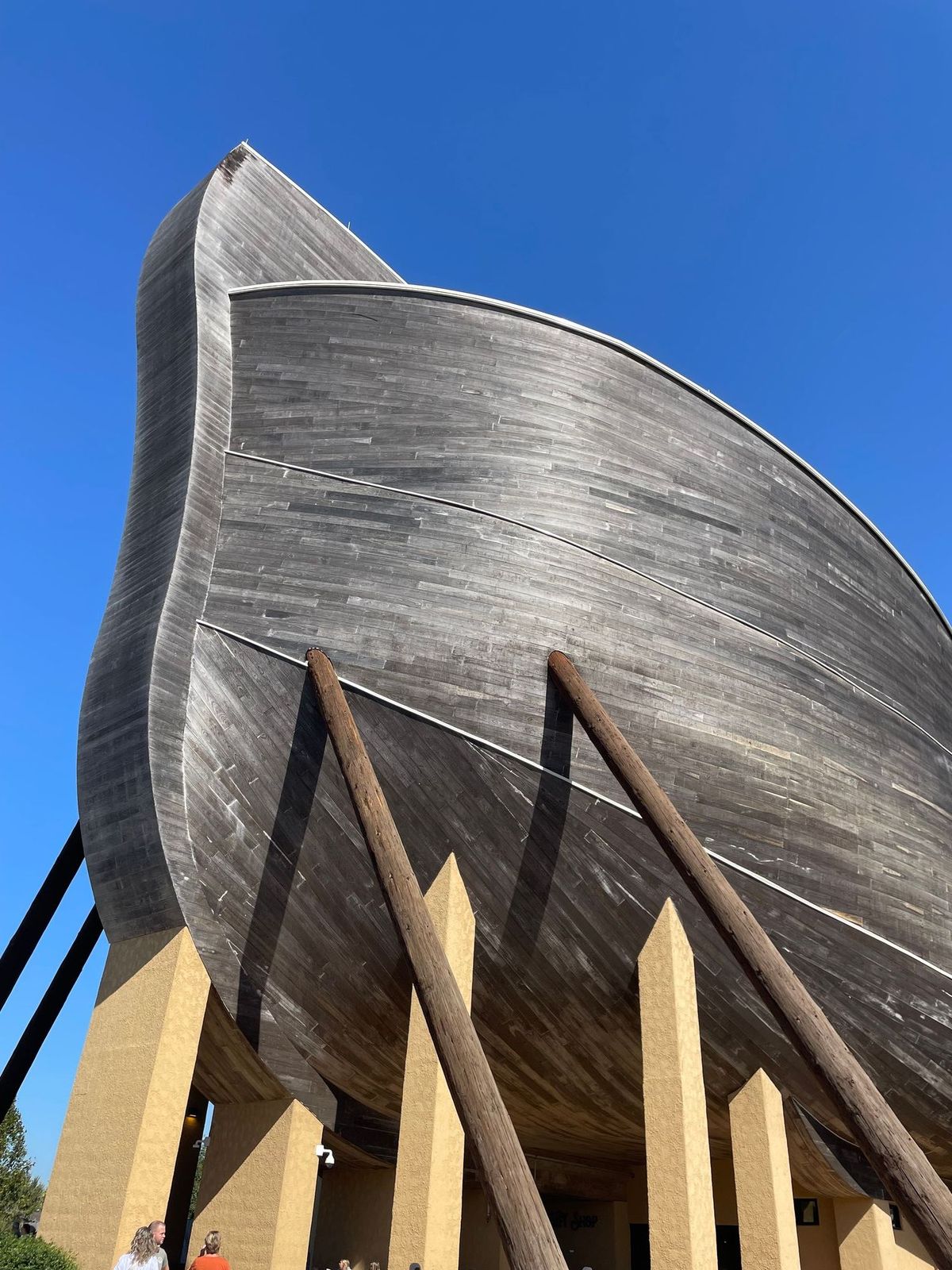 The Bow (front) of the Ark