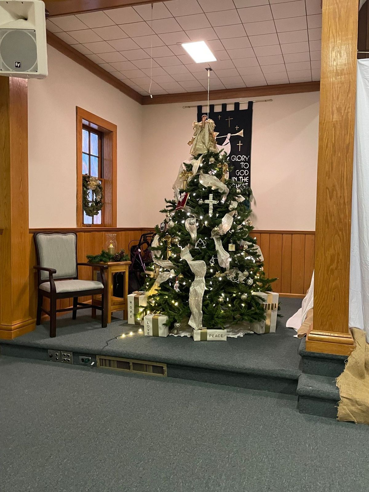 Our beautifully decorated Christmas Tree! Christmas 2024