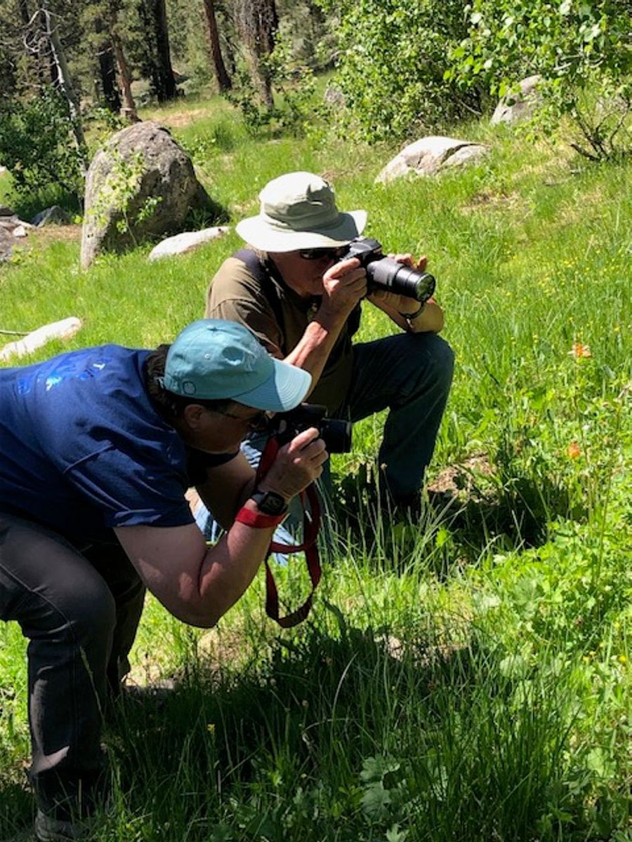 Wendy and Chuck hiked up a creek behind our camp to photograph wild flowers.
