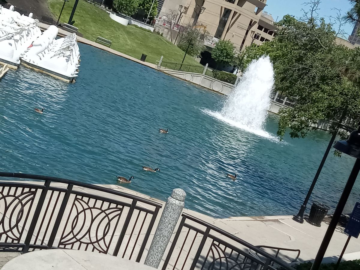 Canal walk