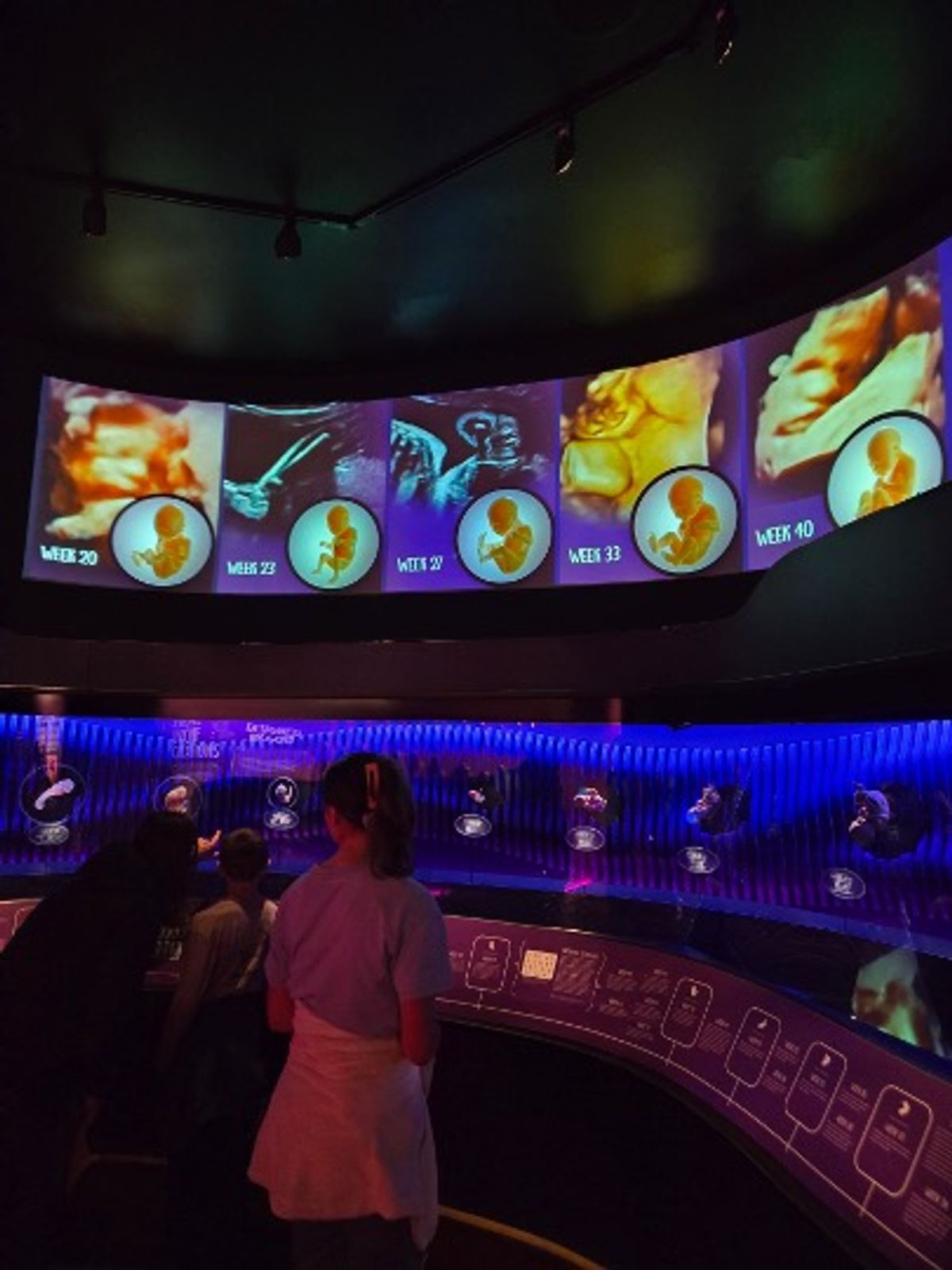 Ark Encounter & Creation Museum 2026