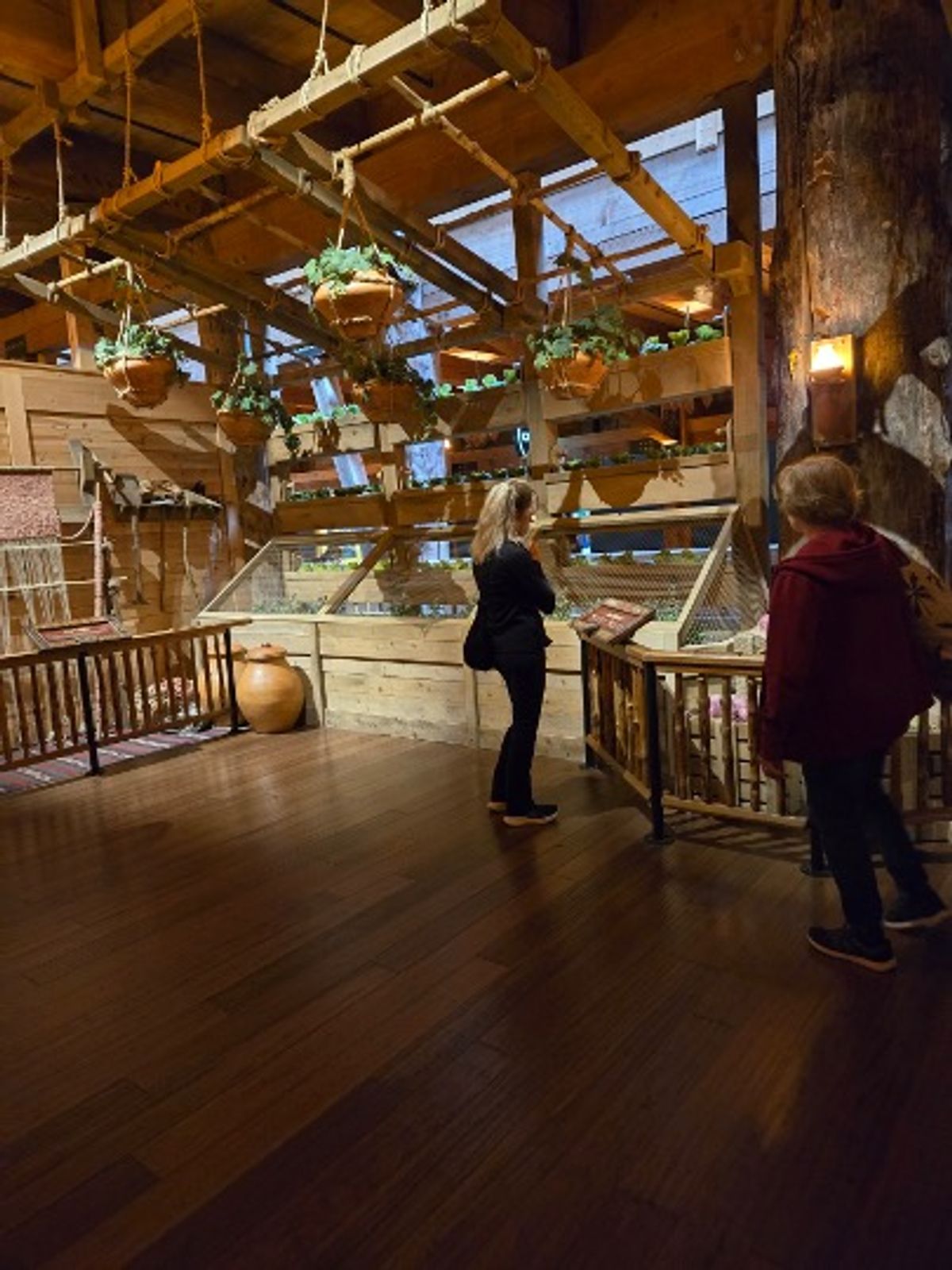 Ark Encounter & Creation Museum 2026