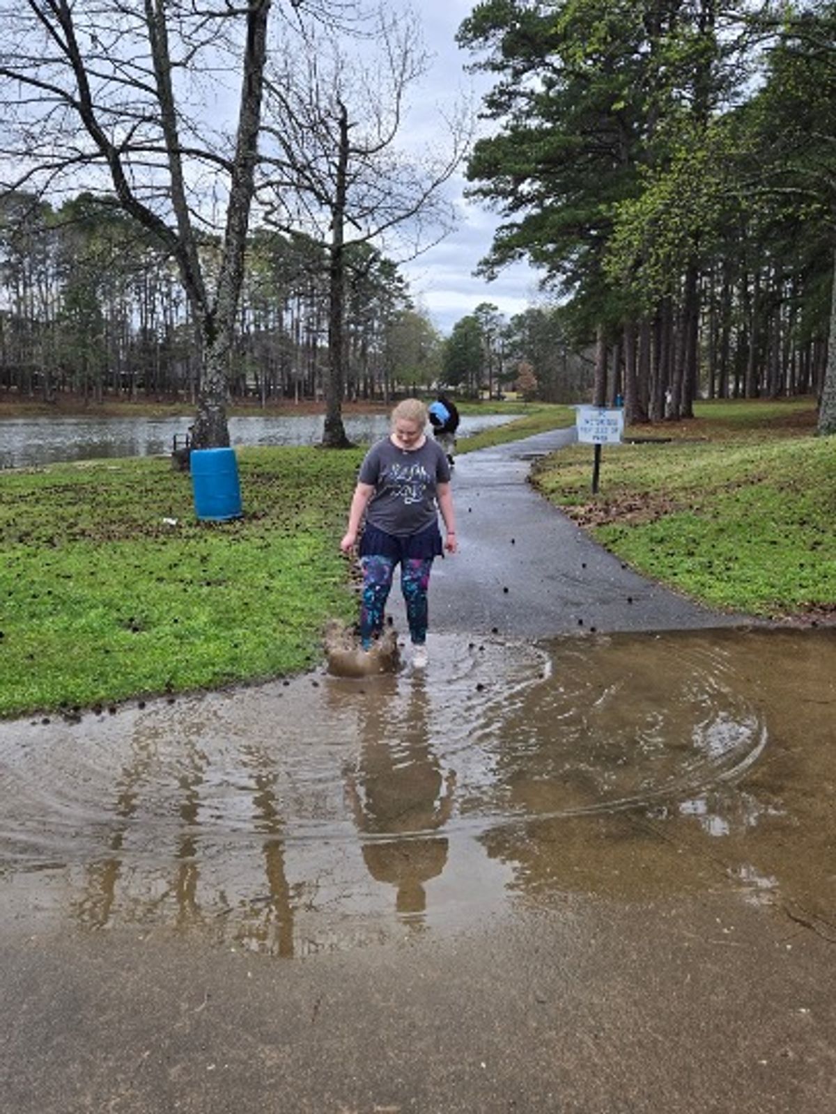 Ark Encounter & Creation Museum 2026