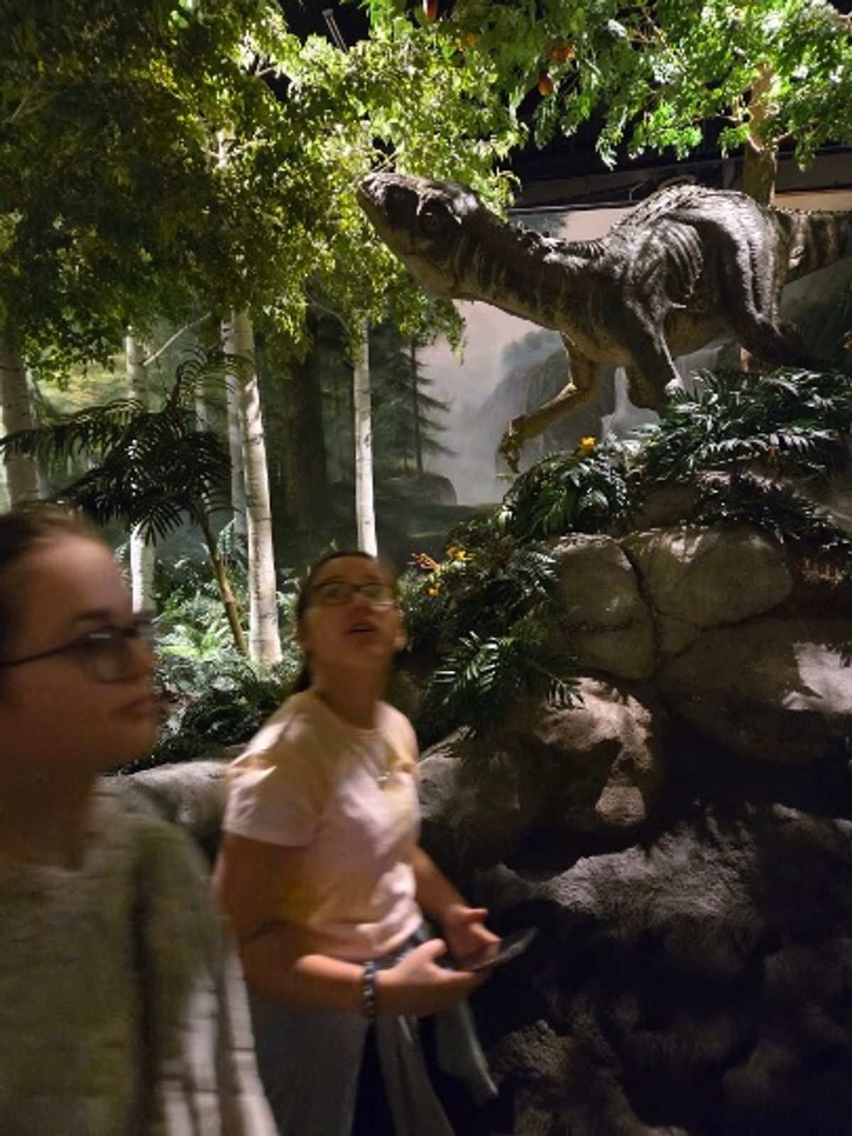 Ark Encounter & Creation Museum 2026