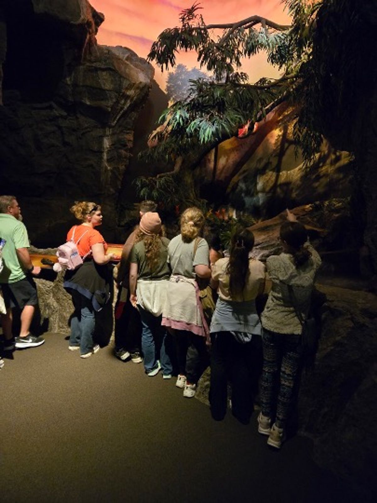 Ark Encounter & Creation Museum 2026