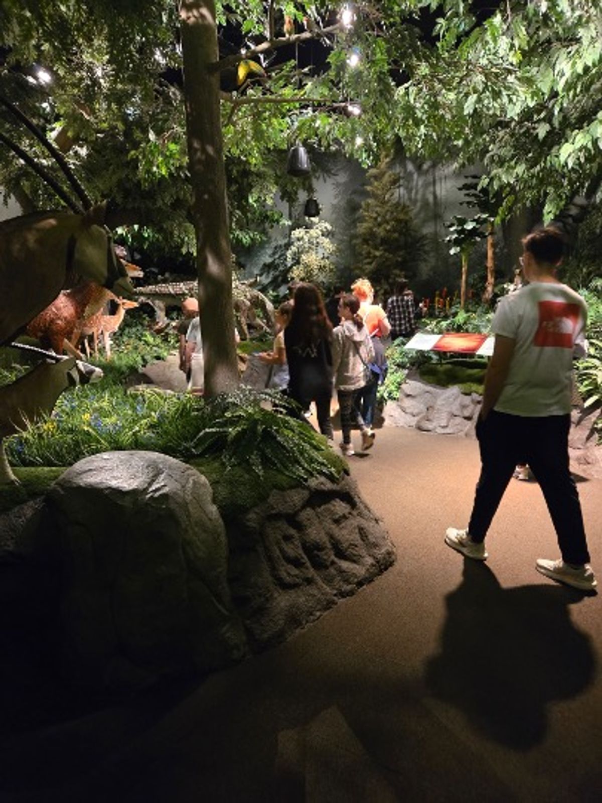 Ark Encounter & Creation Museum 2026