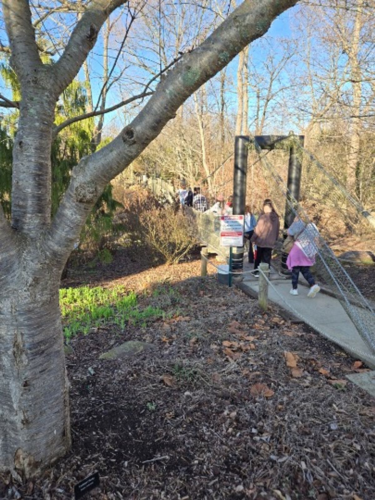 Ark Encounter & Creation Museum 2026