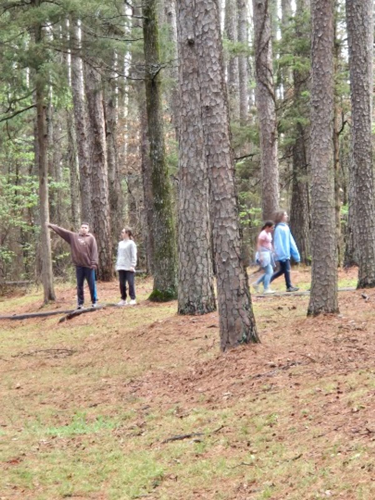 Ark Encounter & Creation Museum 2026