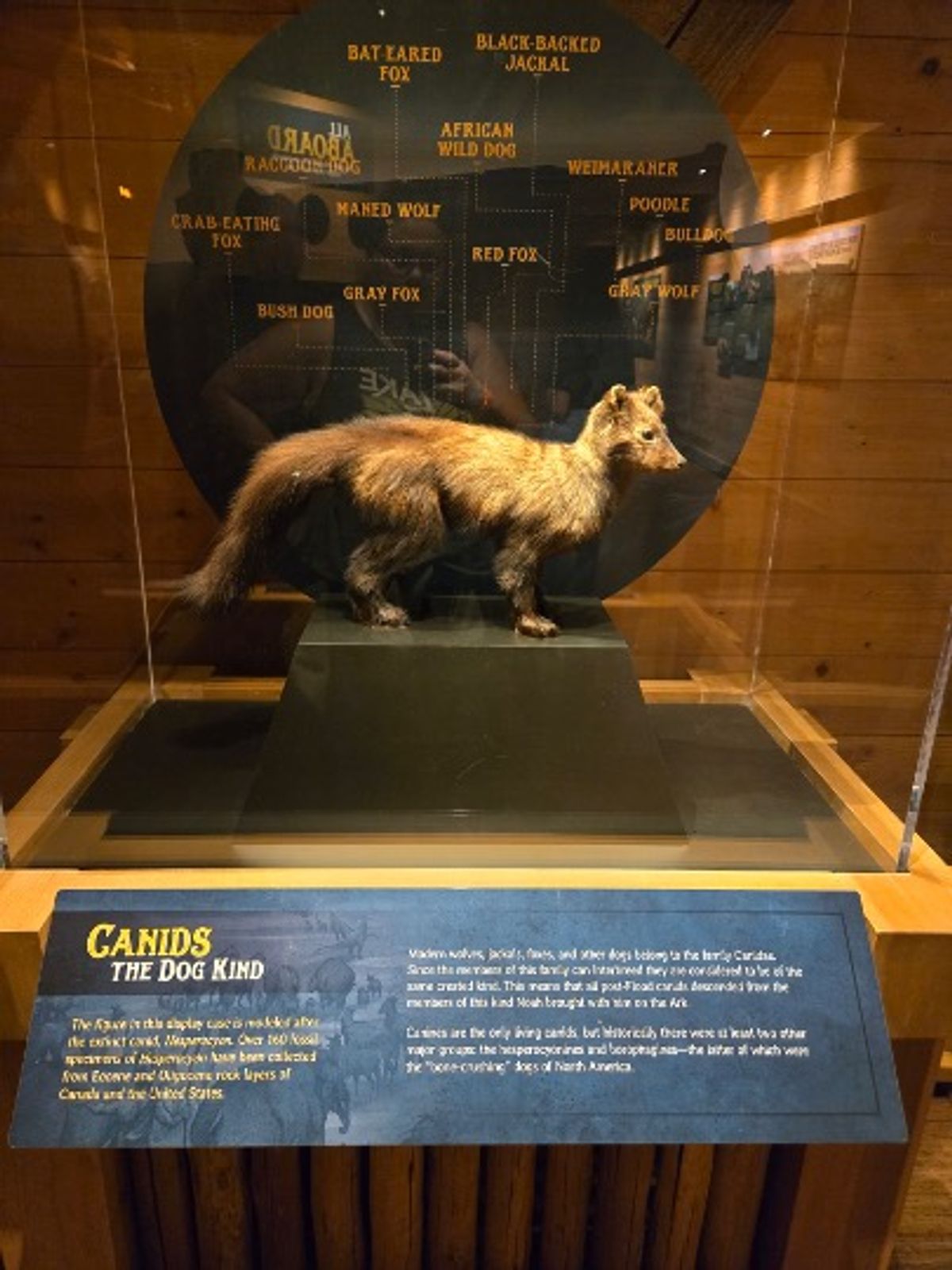 Ark Encounter & Creation Museum 2026