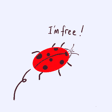 giphy.gif