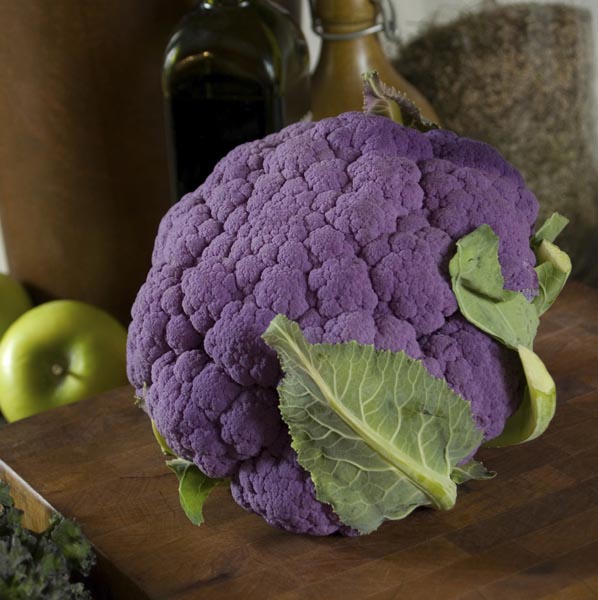 Purple Cauliflower 'Violet Queen' (Brassica oleracea) My Garden Life
