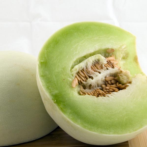 Honey Dew Melon 'Early Honeymoon' (Cucumis melo) My Garden Life