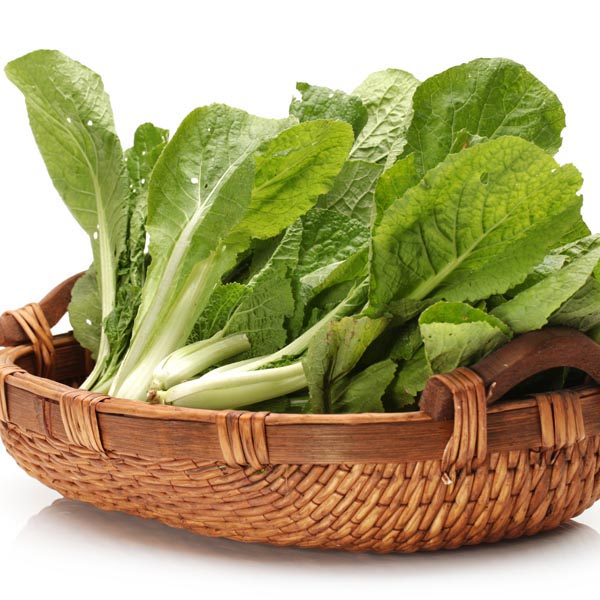 Japanese Vitamin Greens (Brassica rapa) My Garden Life