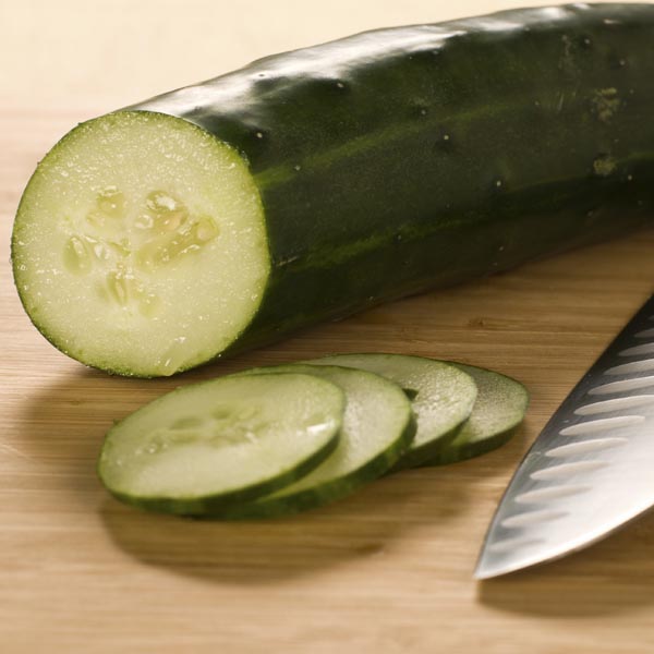 Slicing Cucumber 'Patio Snacker' (Cucumis sativus) My Garden Life