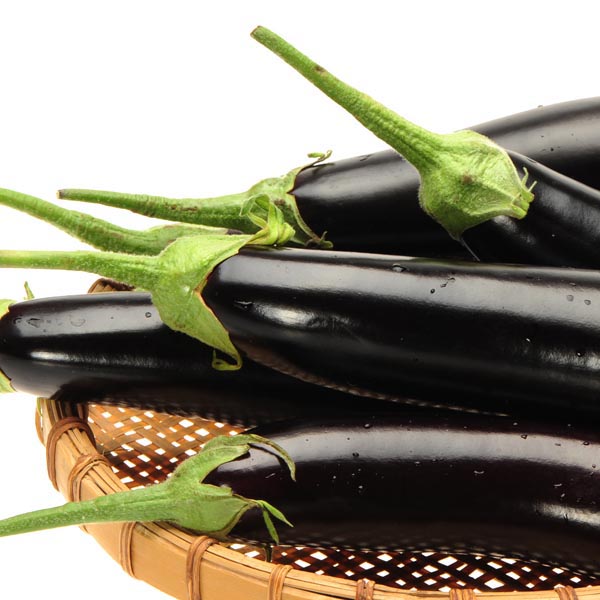 Eggplant 'Little Fingers' (Solanum melongena) My Garden Life