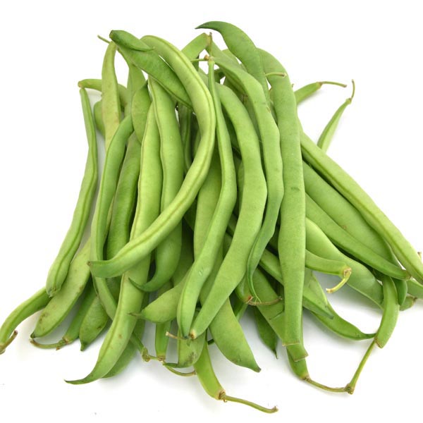 Green Beans (Phaseolus vulgaris) My Garden Life