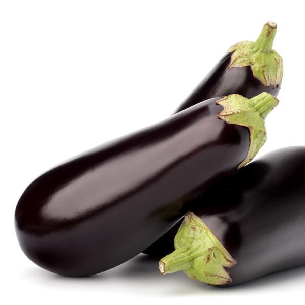 Eggplant, Aubergine 'Classic' (Solanum melongena) My Garden Life