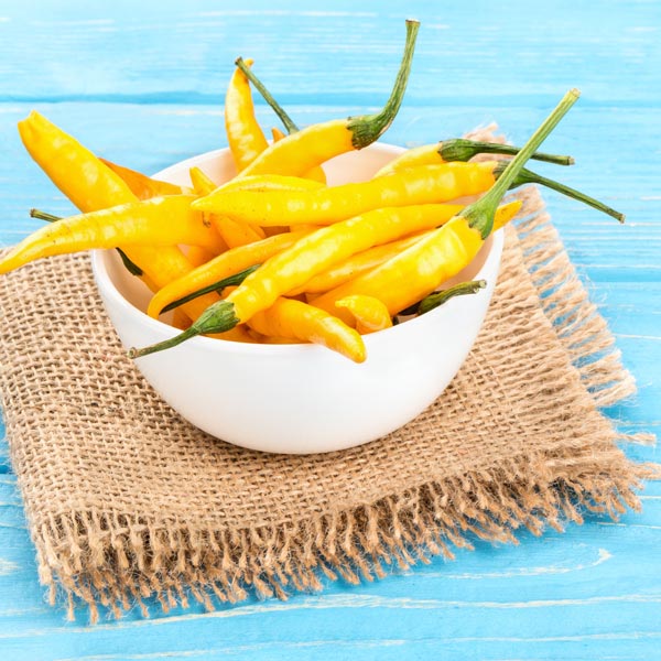 Chili Pepper 'Golden Cayenne' (Capsicum annuum) My Garden Life