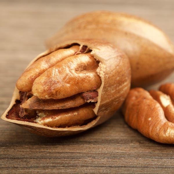 Pecan 'Elliott' (Carya illinoensis) My Garden Life