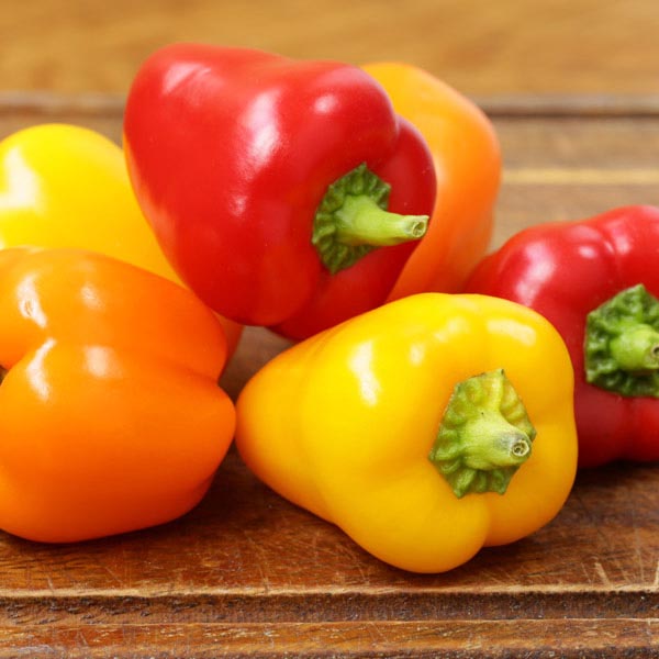 Baby Bell Pepper BellaFina® (Capsicum annuum) My Garden Life