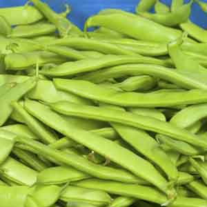summer pole beans