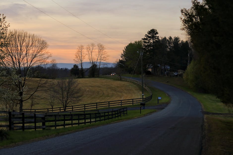 Lexington