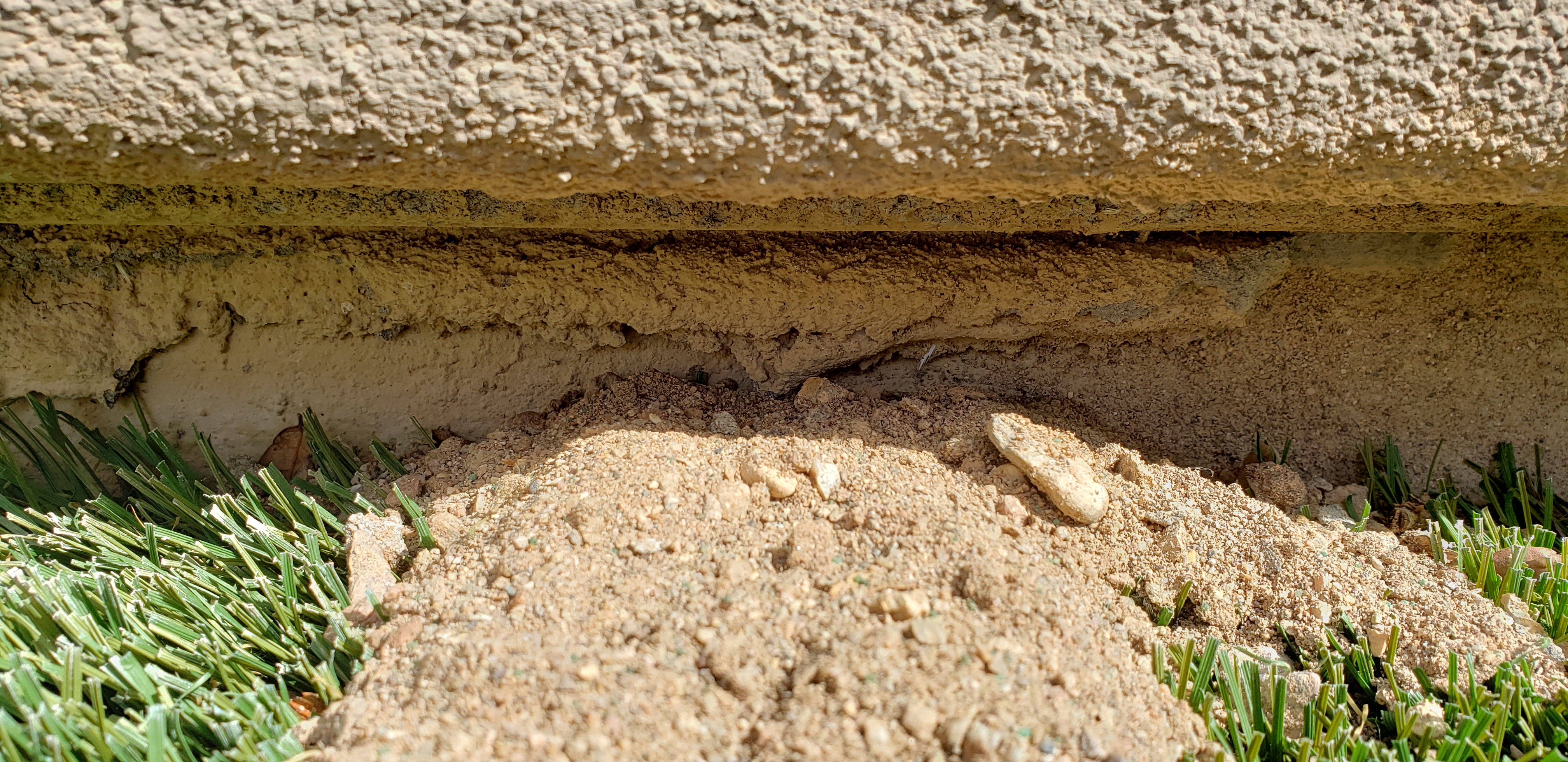 Random Mounds Weird Mound in My Backyard (Arizona) > General Discussion > AR15.COM