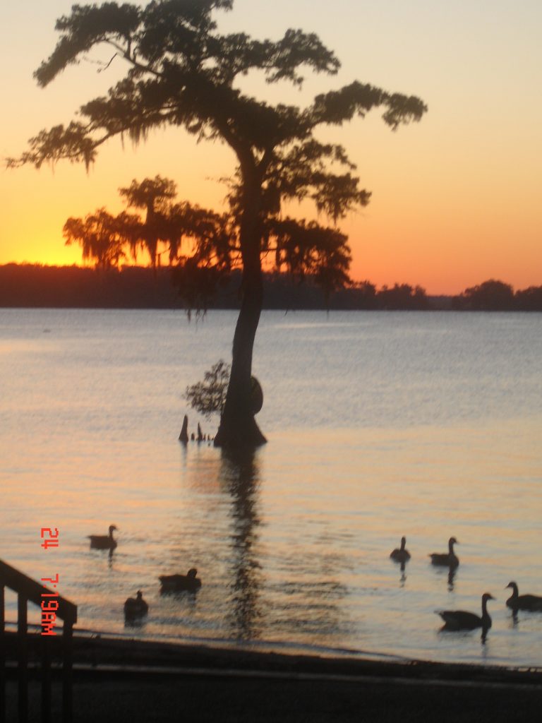 Town of Lake Arthur, LA