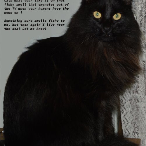 Why is the sustain pedal not working in studio one Questions