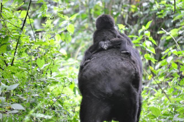 Rukundo and her baby in Bwindi