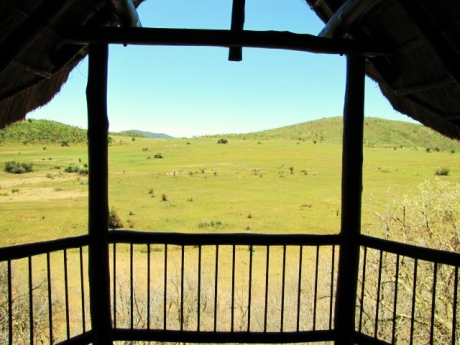 Room with a view - Looking out from Tshukudu Lodge