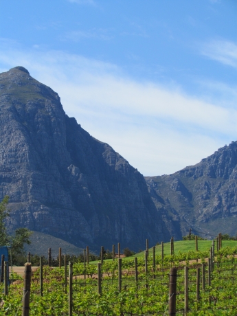 Franschhoek Scenery