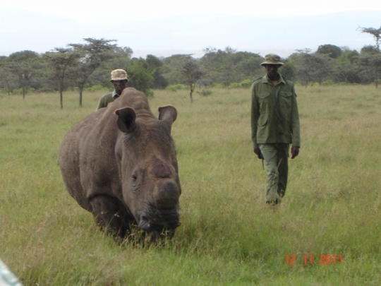 Rhino guards - Ol Pejeta