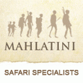 Mahlatini