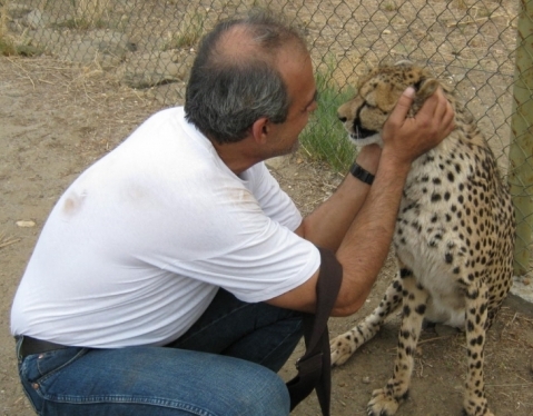 Dimitris and Circa