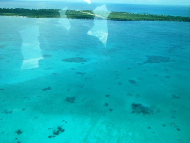Is it a shark or a plane? 