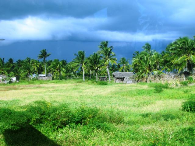 View from the airstrip on Vamizi Island