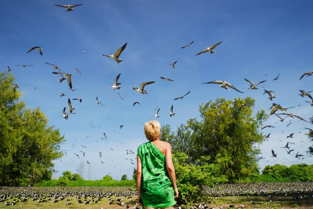 The land of the birds