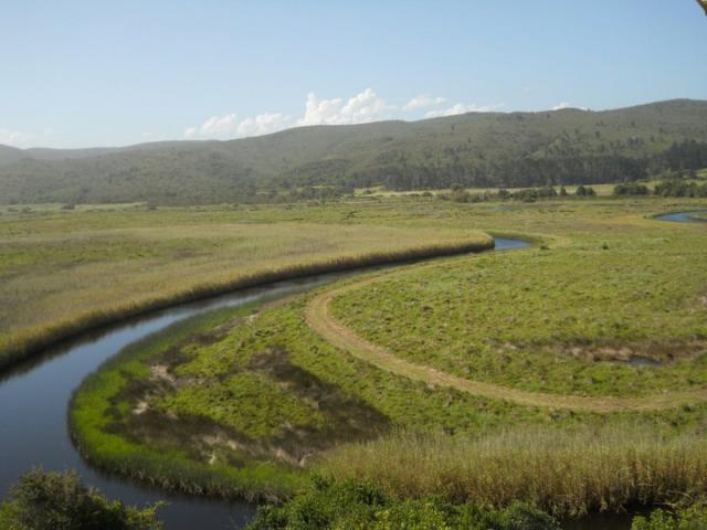 The View from Emily Moon River Lodge