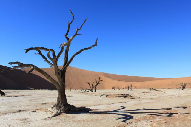 Desert takes its toll